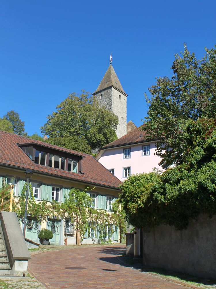 vereinswallfahrt 2026 003